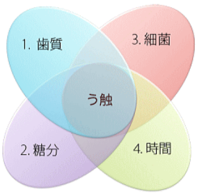 むし歯になる条件